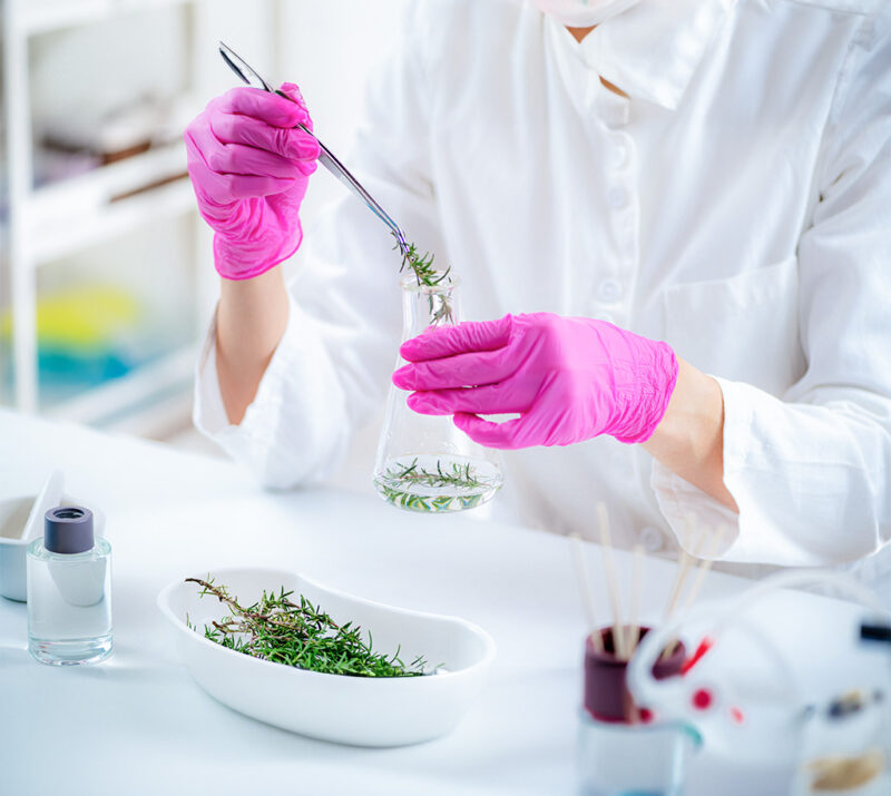 aromacology expert preparing flask with fragrance ingredients 1