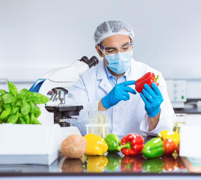 food scientist examining pepper