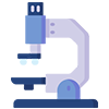 RT-PCR (Real-Time Polymerase Chain Reaction)